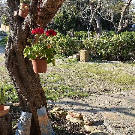 Casa Dell'olio - Al Baglio * Paceco