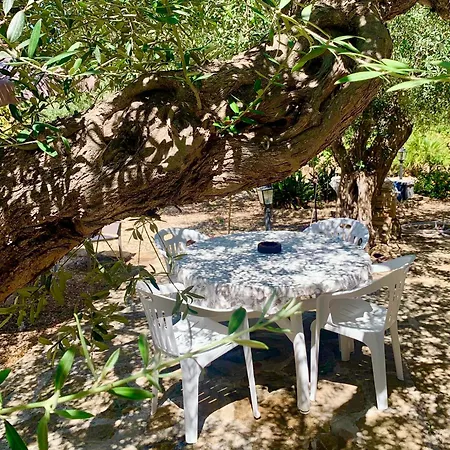 Casa Dell'olio - Al Baglio