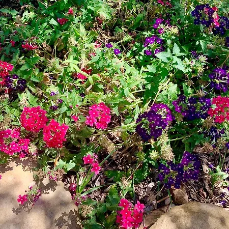 Casa Dell'olio - Al Baglio Prázdninový dům Paceco