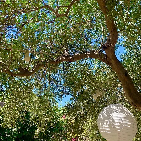 Prázdninový dům Casa Dell'olio - Al Baglio Paceco